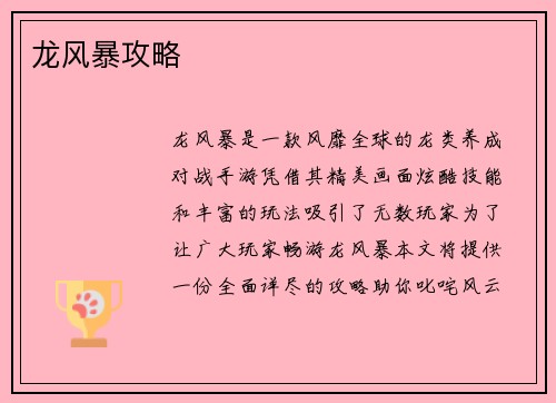 龙风暴攻略